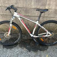bici specialized MTB
