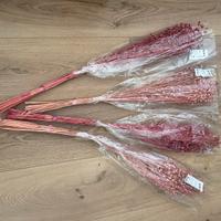 Fiori secchi - Lino rosa