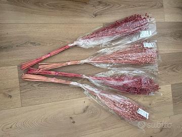 Fiori secchi - Lino rosa