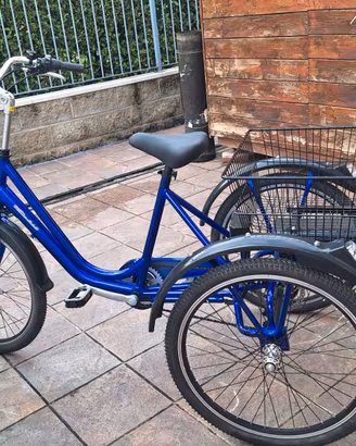 Triciclo e-bike bicicletta elettrica