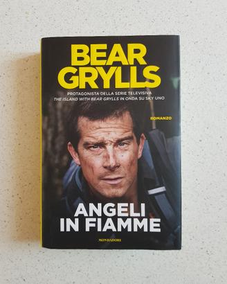 Libro: Angeli in fiamme.