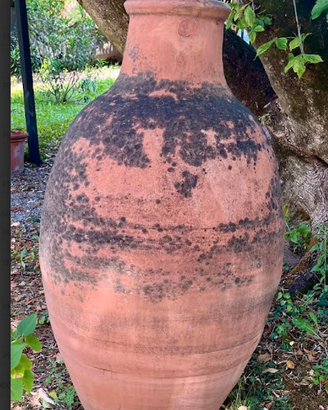 ANTICOgrandeORCIO/VASOgiardinoTERRACOTTAh120secXIX