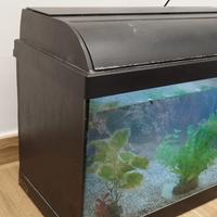 Acquario 35litri