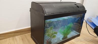 Acquario 35litri