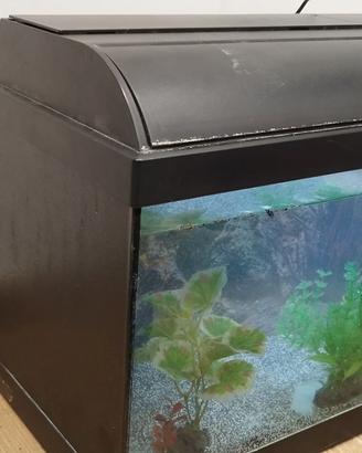Acquario 35litri