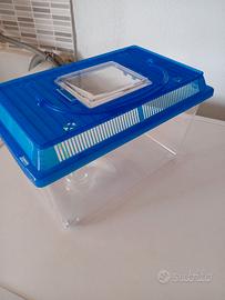 Acquari per pesciolini e tartarughine