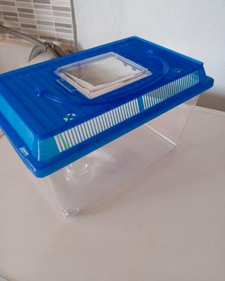 Acquari per pesciolini e tartarughine