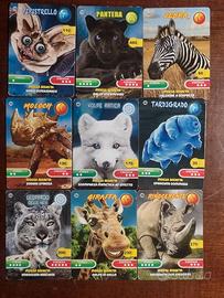 CARDS  Amici Cucciolotti 2022