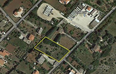 Terreno agricolo a Ottava