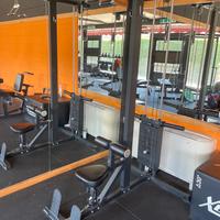 Lat machine lacertosus