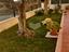 Immagine 18