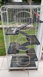 gabbia animali
