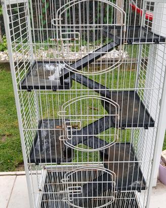 gabbia animali