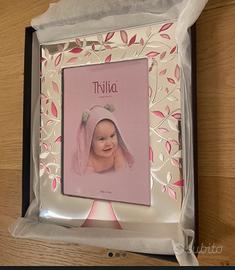 Cornice argento con fiori rosa