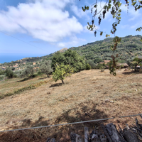 Terreno edificabile (C2) - c/da Ferretta