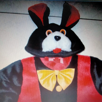 Vestito di carnevale