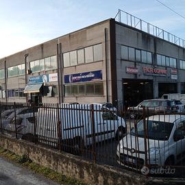 Locale capannone negozio