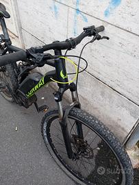 Bicicletta elettrica