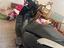 Immagine 4