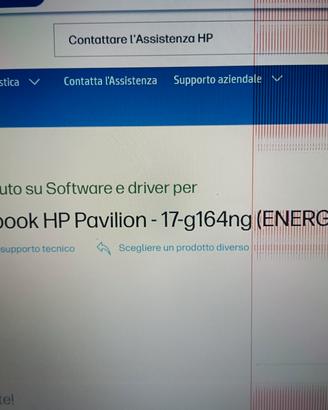 schermo 17.3 pollici 1600x900