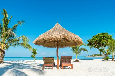 Direzione tecnica agenzia di viaggi Marche