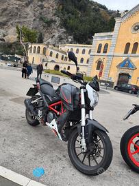 Benelli BN 251 - 2017
