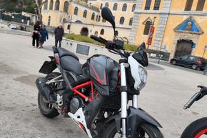 Benelli BN 251 - 2017