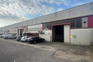 CAPANNONE A COLOGNOLA AI COLLI