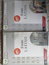 Il mio latino