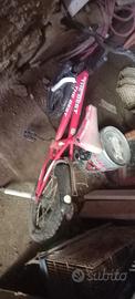 bici 16 pre bambini 