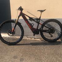 KTM kapoho Prestige tg m