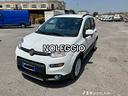 noleggio-fiat-panda