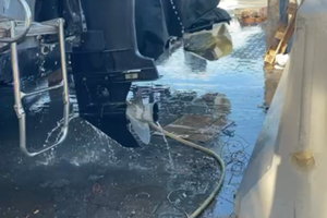 Optimax 225 gambo xl