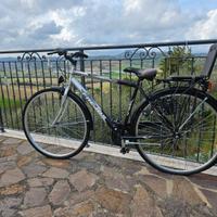 Bicicletta da passeggio