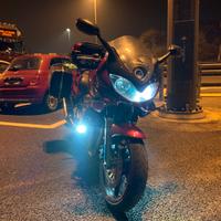 Suzuki BANDIT S tris valigie