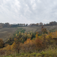 Terreno agricolo collinare