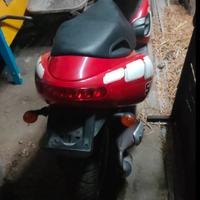 Benelli 491 st