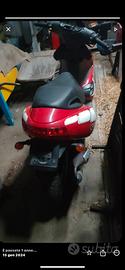 Benelli 491 st
