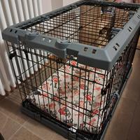 Kennel gabbia cane media Ferplast con ruote