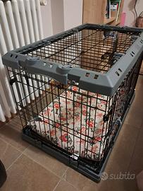Kennel gabbia cane media Ferplast con ruote