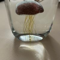 Medusa in vetro soprammobile nuovo