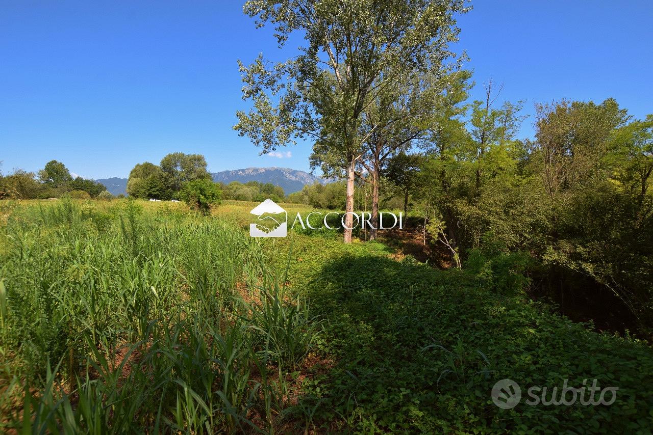 Rif.SW186- terreno agricolo asolo - Vista 5