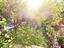 Immagine 19
