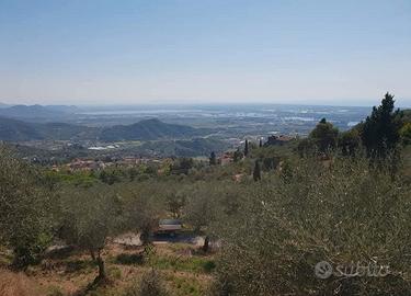 OLIVETO panoramico con ANNESSO a Corsanico/LU