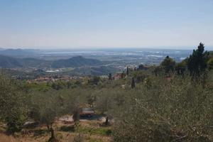 OLIVETO panoramico con ANNESSO a Corsanico/LU