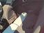 Immagine 12
