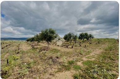 Terreno a Selargius loc. Su Pardu