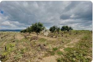 Terreno a Selargius loc. Su Pardu