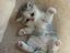 Immagine 1