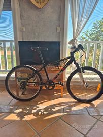 bici moutanbike 